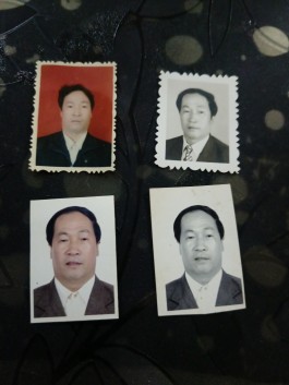 寻亲：杨使