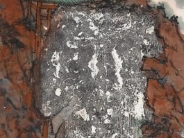 画家梁腾作品多少钱(画家梁腾的成长空间)-画家梁腾联系方式