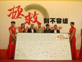 书法家袁守启(书法家袁守启个人简介)