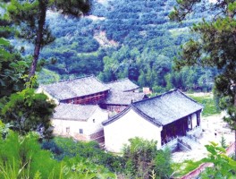 画家杨立刚作品多少钱(杨立刚医生怎么样)-画家杨立刚联系方式