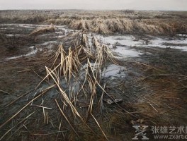 画家周伟作品多少钱(画家周伟民)-画家周伟联系方式