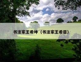 书法家王希坤（书法家王希臣）