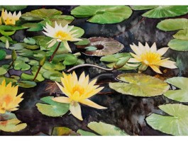 画家杨阳作品多少钱(画家杨阳简历个人资料简介及图片)-画家杨阳联系方式