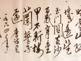 书法家张德宁(张德书画家的介绍)
