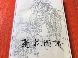 画家丁楼辰作品多少钱(丁楼辰画价格)-画家丁楼辰联系方式
