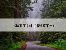 书法家丁釰林（书法家丁一）