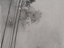 画家史一作品多少钱(著名画家史龙)-画家史一联系方式