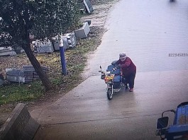 寻亲：苏桂花
