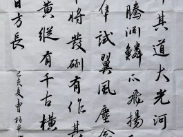 书法家陈志瑶作品多少钱(中国书法家陈志荣)-书法家陈志瑶联系方式