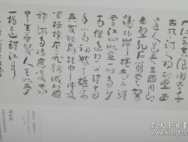 书法家张浩元(书法家张浩元个人简介)