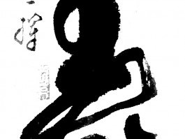 书法家王贺良(王贺良书法视频)