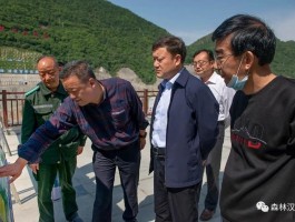 画家许杨作品多少钱(许杨sery)-画家许杨联系方式