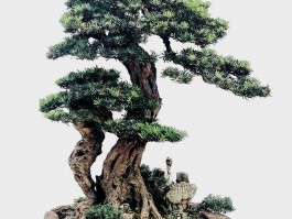 画家林俊龙作品多少钱(林俊书法 价格)-画家林俊龙联系方式