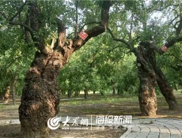 画家贾鹏作品多少钱(贾鹏源书法)-画家贾鹏联系方式