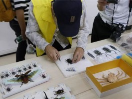 画家朱雄作品多少钱(书画家朱雄)-画家朱雄联系方式