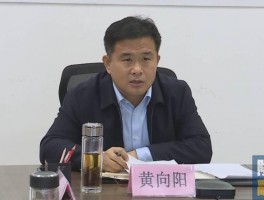 画家黄向阳(书法家黄向场)