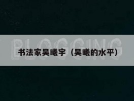 书法家吴曦宇（吴曦的水平）
