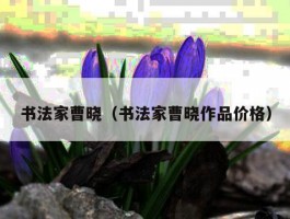 书法家曹晓（书法家曹晓作品价格）