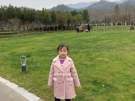 画家郑鑫作品多少钱(画家郑小鑫)-画家郑鑫联系方式