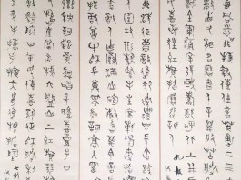 书法家赵子富(邹城赵子富书法)
