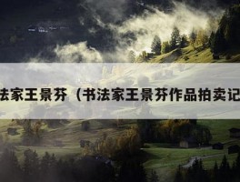 书法家王景芬（书法家王景芬作品拍卖记录）