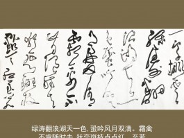 关于书法家苏涛的信息