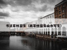书法家林容生（画家林容生山水写生）