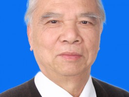 红色照耀世界——著名书法家黄吴怀专题报道