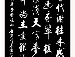 书法家白启谟(白启忠画家百度百科)