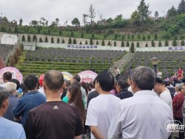 画家廖华强作品多少钱(画家廖强简历)-画家廖华强联系方式