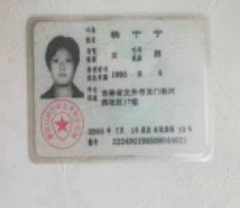 寻亲：杨宁宁