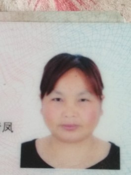 寻亲：蒙爱