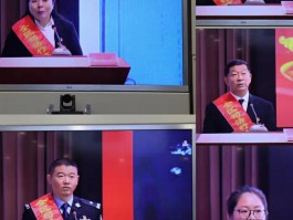 书法家苏玉作(书法家苏玉华的个人资料)