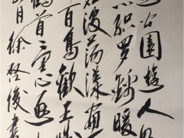 书法家徐润芝(书法家徐润芝个人简介)