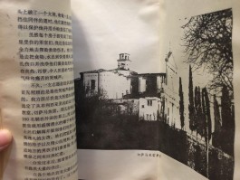 画家杜南作品多少钱(杜南海书法)-画家杜南联系方式