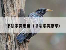 书法家吴惠臣（书法家吴惠军）