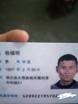 寻亲：杨福明