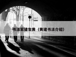 书法家建生黄（黄建书法介绍）