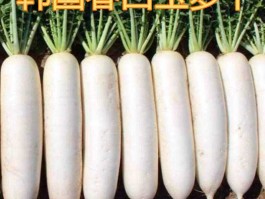 画家罗卜春作品多少钱(萝卜写意国画)-画家罗卜春联系方式