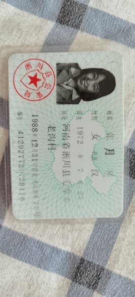 寻亲：张月琴