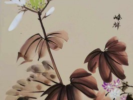 画家张俊秋(画家张俊作品价格)