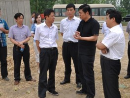 书法家牛成作品多少钱(牛成选书画作品)-书法家牛成联系方式