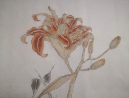 画家尚波作品多少钱(尚波设计师)-画家尚波联系方式