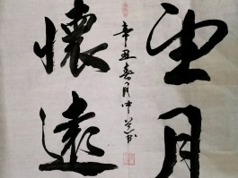 书法家时元有(时老师书法教学视频)