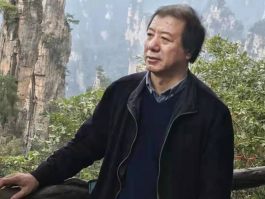 画家徐生华作品多少钱(画家徐生华画价格)-画家徐生华联系方式