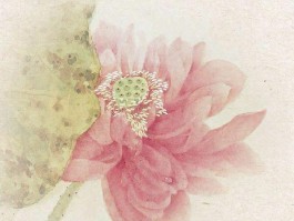 画家朱佩君作品多少钱(画家朱佩君代表作)-画家朱佩君联系方式