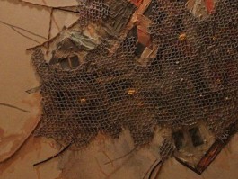 画家刘晓百慧作品多少钱(画家刘晓百慧简介)-画家刘晓百慧联系方式