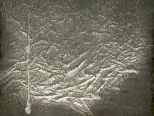 画家邵力华作品多少钱(画家邵力华画价格)-画家邵力华联系方式