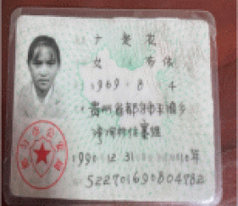 寻亲：广定花