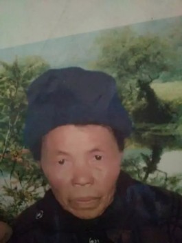 寻亲：陈老满